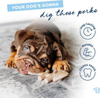 Benebone Puppy Fishbone Dog Chew Toys, Softer - Image 3