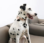 Unique style paws Dog Collar Metal Buckle Orange Collar Gift Durable Cute Collar - Image 4
