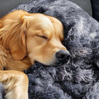 Luciphia Large Waterproof Dog Blanket - Image 9