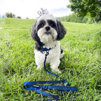Best Pet Supplies Voyager Reflective Dog Leash or Collar - Image 5