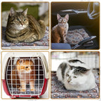 Tuanse 4 Pack Ultra Soft Dog Cat Bed Mat Small Animal Guinea Pig Bed - Image 7