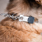 Herm Sprenger Stainless Steel Dog Collar - Image 10