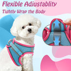 AIITLE Comfortable Dog Harness and Leash Set - Image 5