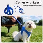 PetiFine Step in Small Dog Harness and Leash Set, Breathable All Weather Air - Image 5