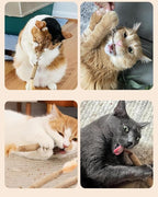 Tocirelo Cat Toys Silvervine Sticks - Image 6