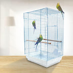 PENN-PLAX Cockatiel & Small Parrot Starter Kit - Image 4