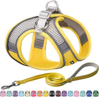 AIITLE Easy Walk Dog Harness and Leash Set by AIITLE-FORPETSBETTERLIFE
