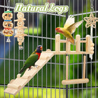 10 Pcs Bird Toys for Parakeets Cage Accessories Parrot Swing Toys and Wooden - Image 4