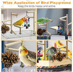 PINVNBY 3 PCS Wooden Small Bird Playground - Image 9