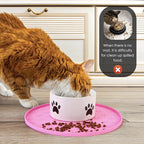 Silicone Pet Food Mat - Image 4