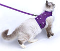 Cat Harness and Leash for Walking Escape Proof Breathable Mesh Fabric, Extra by Yizhi+Miaow