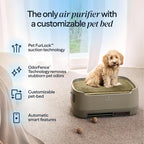 Blueair PetAir Air Purifier for Pets - Image 2