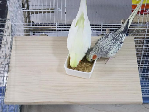 21.7 × 13.8 Inches Large Bird Perch Stand Platform, Natural Wooden Small - Image 2