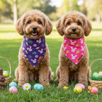 ADOGGYGO Easter Dog Bandana 2 Pack, Bunny Carrot Print Triangle Pet Scarf - Image 3