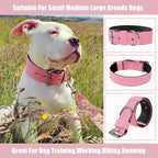 Heavy Duty Tactical Dog Collar - Image 8