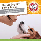 Arm & Hammer for Pets Nubbies Dental Toys T-Rex Dental Chew Toy for Dogs Best - Image 6