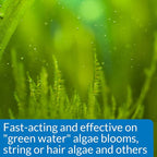 API ALGAEFIX Algae Control 4-Ounce Bottle - Image 3