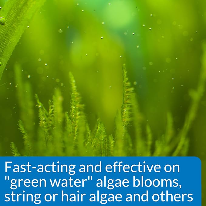 API ALGAEFIX 8-Ounce Bottle - Image 3