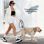 Didog Soft PU Leather Dog Collar, Stylish Quick Released Dog Collar - Image 4