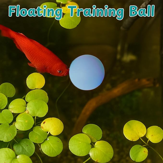 Betta Mirror Enrichment Fish Toys Stimulation, Betta Fish Tank Accessories - Image 8