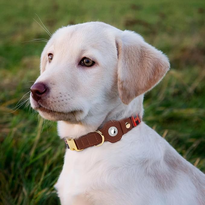 AirTag Dog Collar for Small Medium Large Breed - Image 7