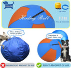 Herding Ball for Dogs and Horses - Image 5