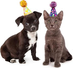 6pcs/Pack Mini Dog Party Hats for Small XS Cat Puppy Doggie Kitten Rabbit - Image 5