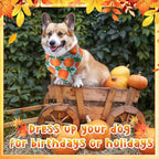 Sanwuta 120 Pcs Thanksgiving Fall Bandanas - Image 5