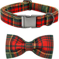Dog Collar - Thanksgiving Turkey Dog Collar Bowtie Gift Puppy Soft Bow by BoboRainbow