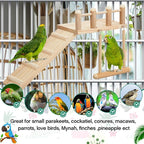 10 Pcs Parrot Swing Toys and Bird Perches Platform - Image 4