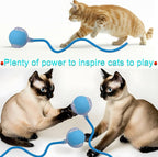 Interactive Cat Dog Toy Ball: Indoor Small Automatic Moving Smart Rolling Fun - Image 7