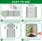 UNIFAMILY 6pcs Plant Protectors from Animals - Image 5