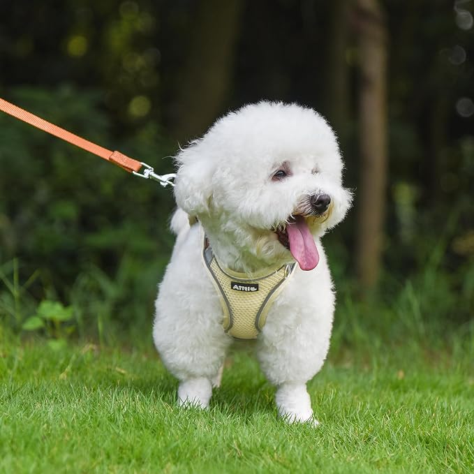 AIITLE Small Harness for Puppy - Image 2