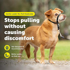 PetSafe Gentle Leader Headcollar No-Pull Dog Collar - Image 2