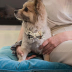 Breakaway Cat Collars - Image 7