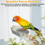 PINVNBY 4 PCS Bird Perches Calcium Parrot Perch Stand Bird Beak Grinding Stone - Image 7