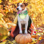 Sweetude 100 Pcs Fall Dog Bandanas Bulk Plaid Bandanas - Image 7