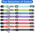 Pawtitas Personalized Cat Collar - Image 7
