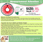 Inflatable Dog Cone with Anti-Licking Clear Shield, Protective Dog Donut Collar - Image 3