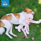 Best Pet Supplies Interactive Squeaky Dog Chew Toy, Ideal Dog Toys - Image 5