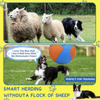 Herding Ball for Dogs and Horses - Image 3