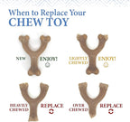 Nylabone Gourmet Style Stick Strong Chew Toy - Image 11