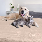 PETMAKER Dog Blanket - Image 8