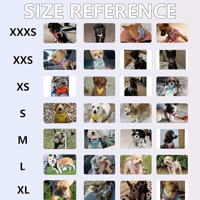 AIITLE Dog Harness, No-Pull Cat Harness - Image 10