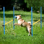 8 Set Dog Agility Jump Adjustable Dog Agility Hurdle Training Equipment - Image 7