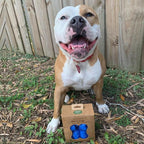 Best Pet Supplies Dog Poop Bags - Image 5