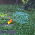 POPETPOP Travel Carrier for Birds, Iron Bird Travel Carrier Cage, Portable - Image 7