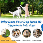 Spiky Interactive Dog Toys Ball, Shaking - Image 7