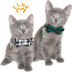 LLHK 4 Pack Small Fish Cat Collars - Image 6