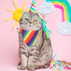 ADOGGYGO Rainbow Cat Collar - Image 3